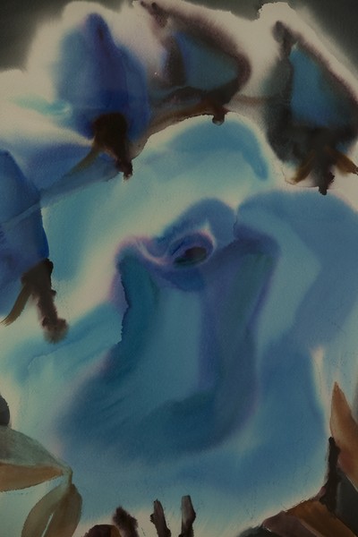 Expozitie Iulia Halaucescu 2014