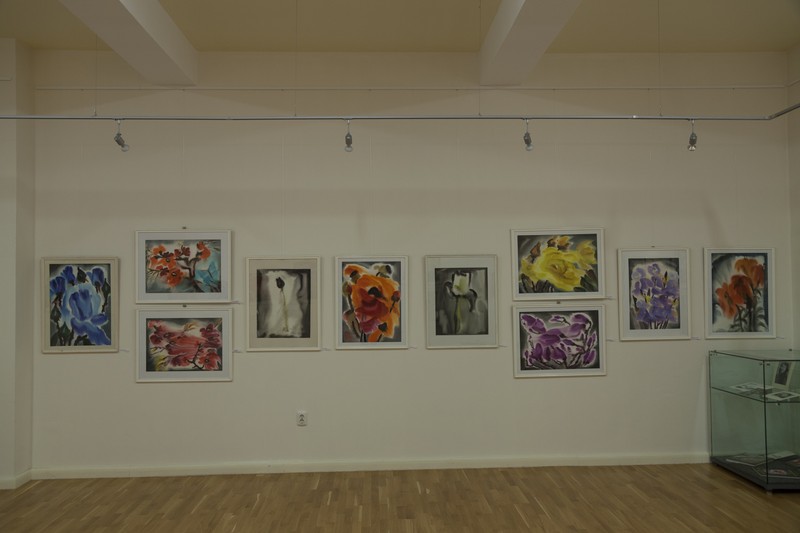 Expozitie Iulia Halaucescu 2014