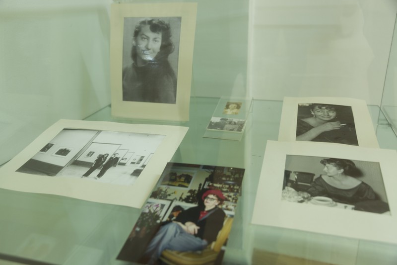 Expozitie Iulia Halaucescu 2014