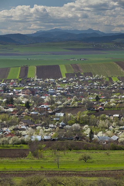Route from Serbesti rock to Ancutei Inn