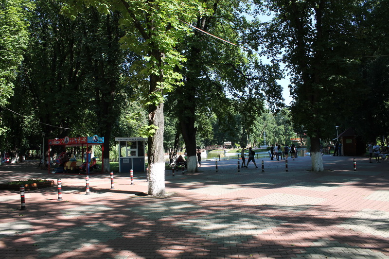 IMG_9012_resize