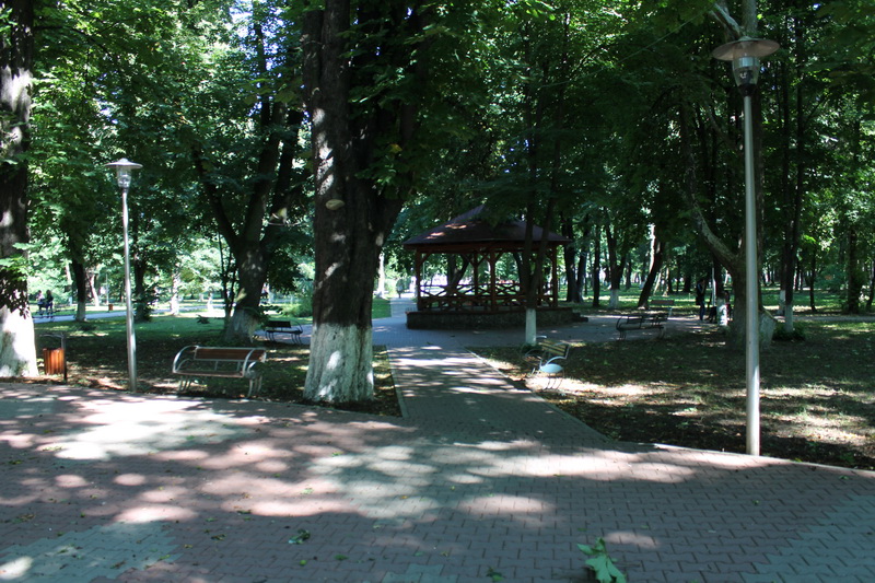 IMG_9017_resize