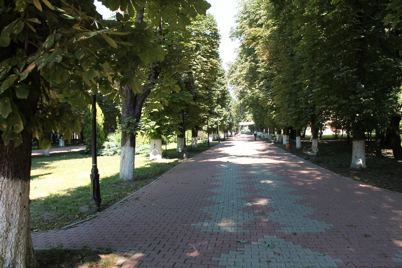 IMG_9019_resize