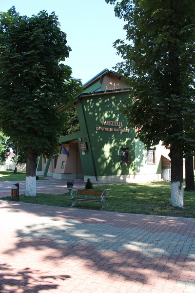 IMG_9020_resize