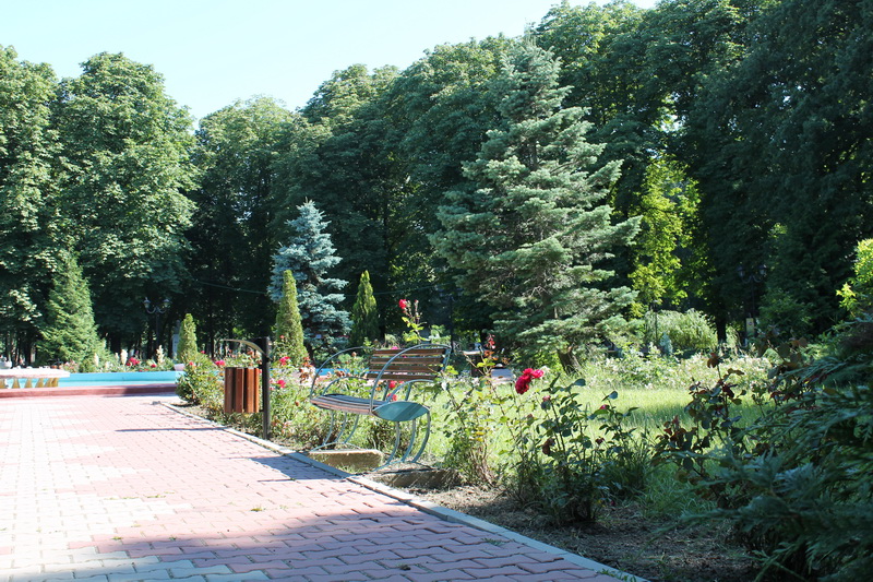 IMG_9028_resize