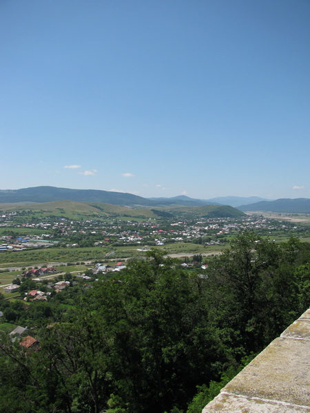 IMG_1887_resize