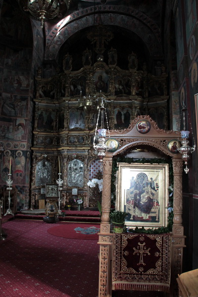 IMG_4217_resize