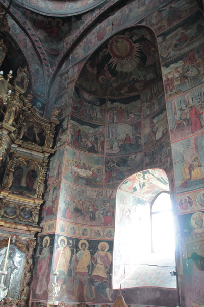 IMG_4224_resize