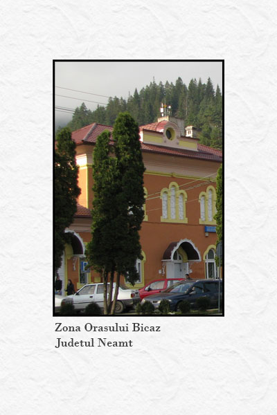Orasul Bicaz - Imprejurimi