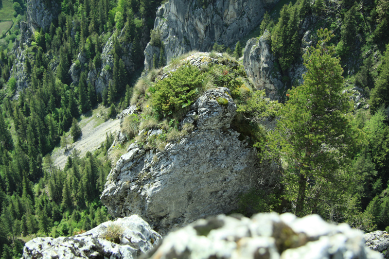 Pestera Munticelu