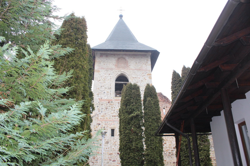 IMG_4006_resize