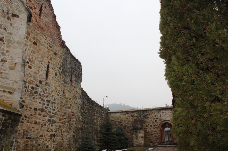 IMG_4008_resize