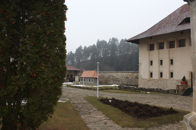 IMG_4009_resize