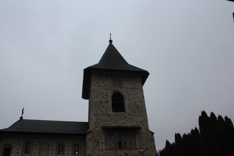 IMG_4015_resize