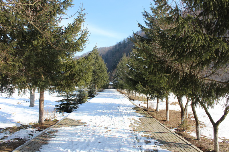 IMG_4702_resize