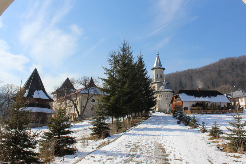 IMG_4708_resize