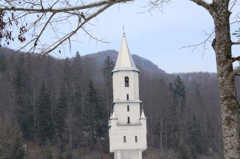 IMG_4762_resize