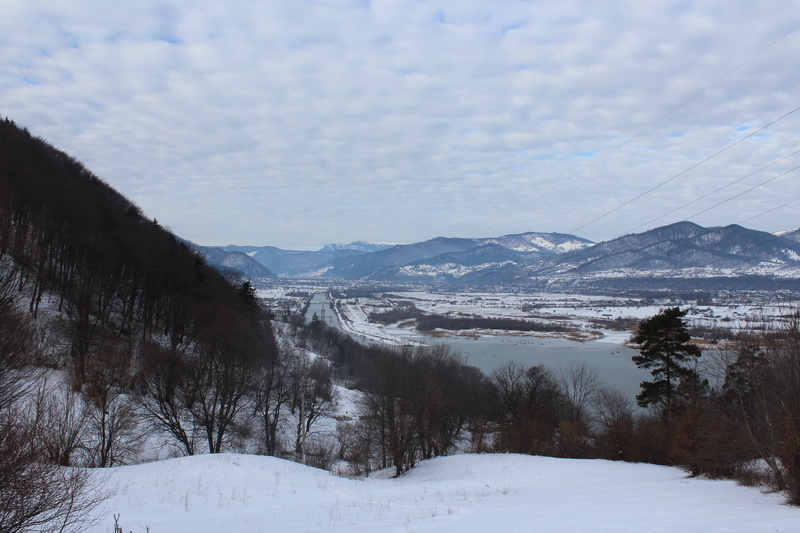 IMG_5005_resize