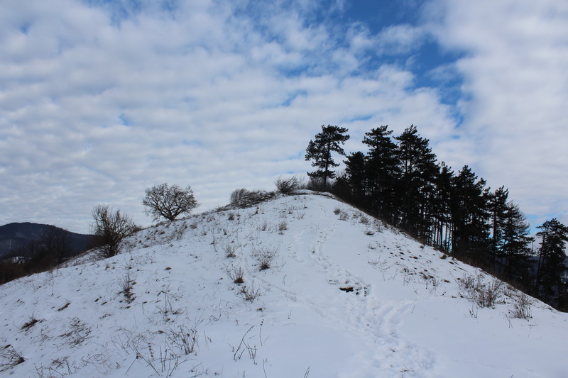 IMG_5014_resize