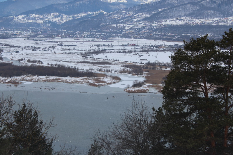 IMG_5015_resize