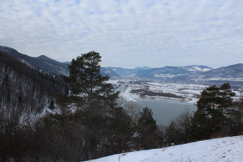 IMG_5019_resize