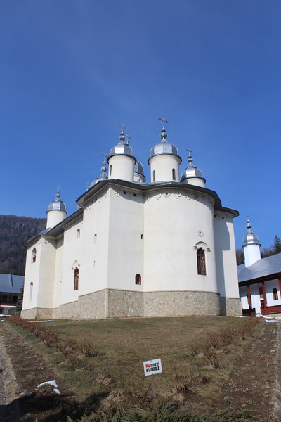 IMG_8046_resize
