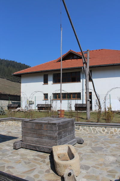 IMG_8236_resize