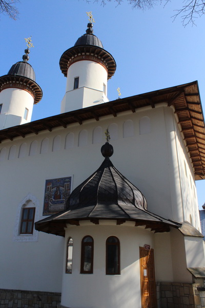 IMG_8300_resize