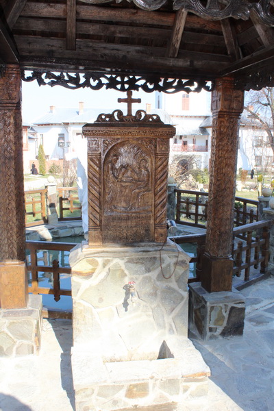 IMG_8320_resize