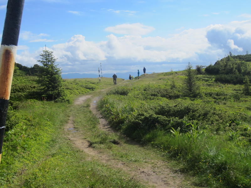 IMG_2871_resize