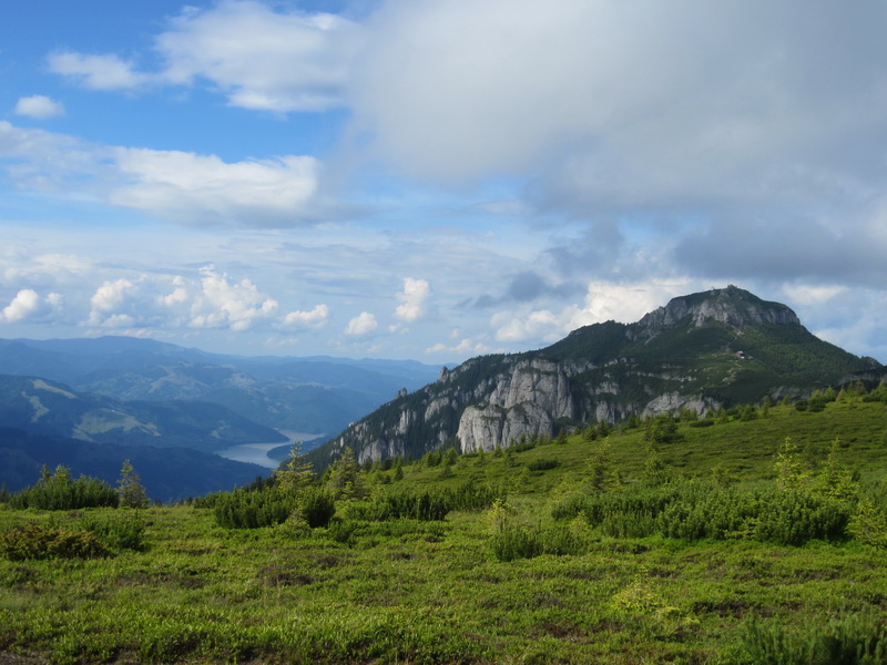 IMG_2874_resize