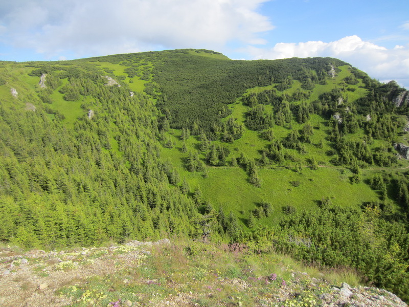 IMG_2877_resize