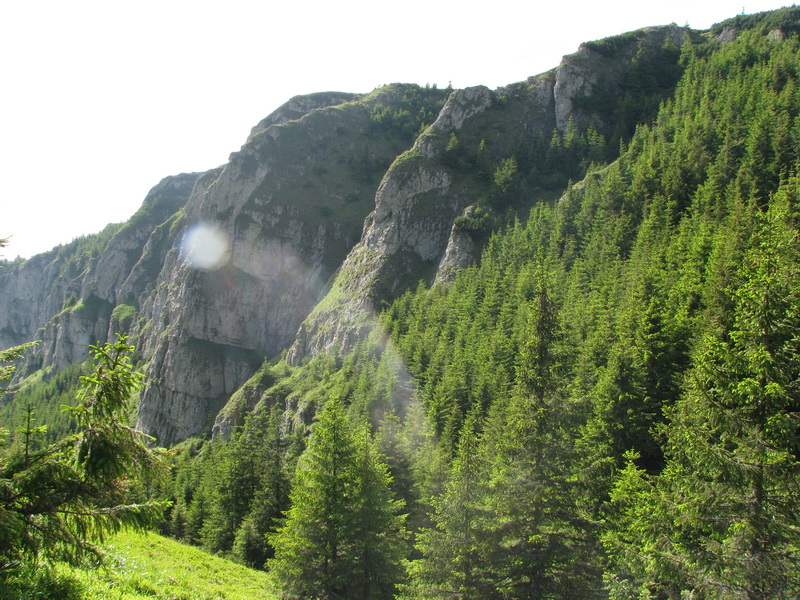 IMG_6234_resize