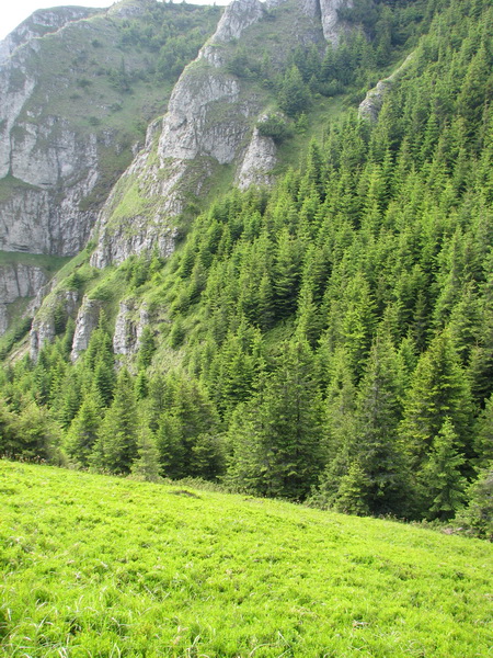 IMG_6250_resize