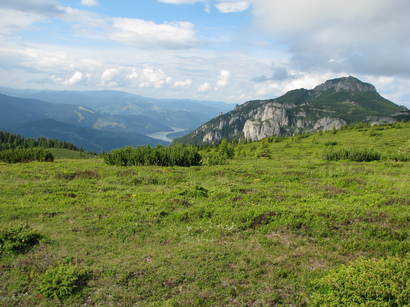 IMG_6253_resize