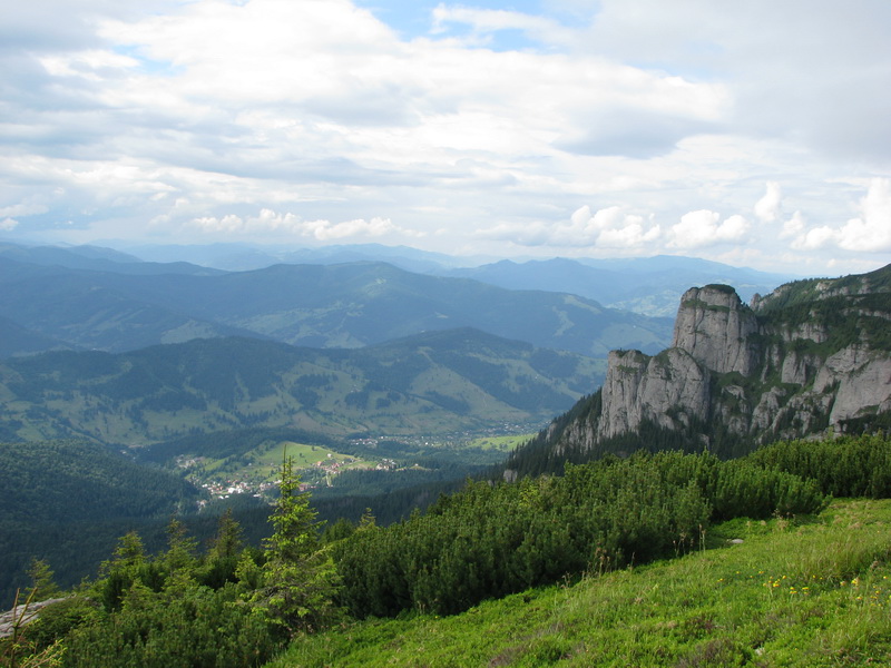 STE_6219_resize