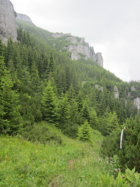 IMG_2812_resize