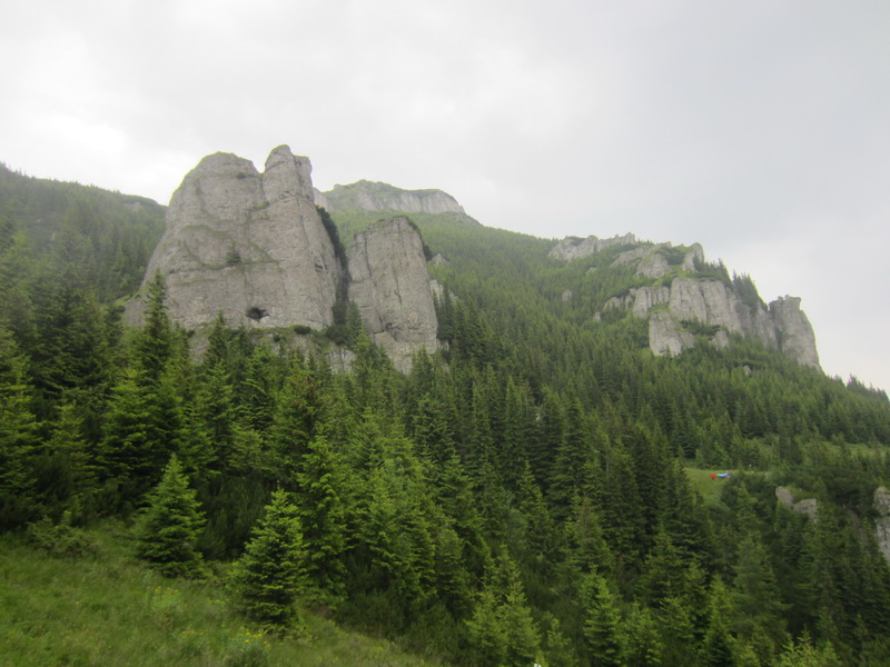 IMG_2813_resize