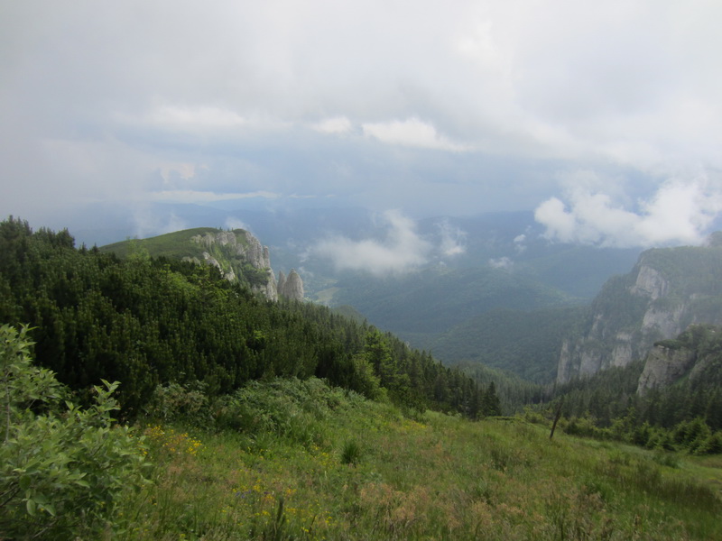 IMG_2848_resize