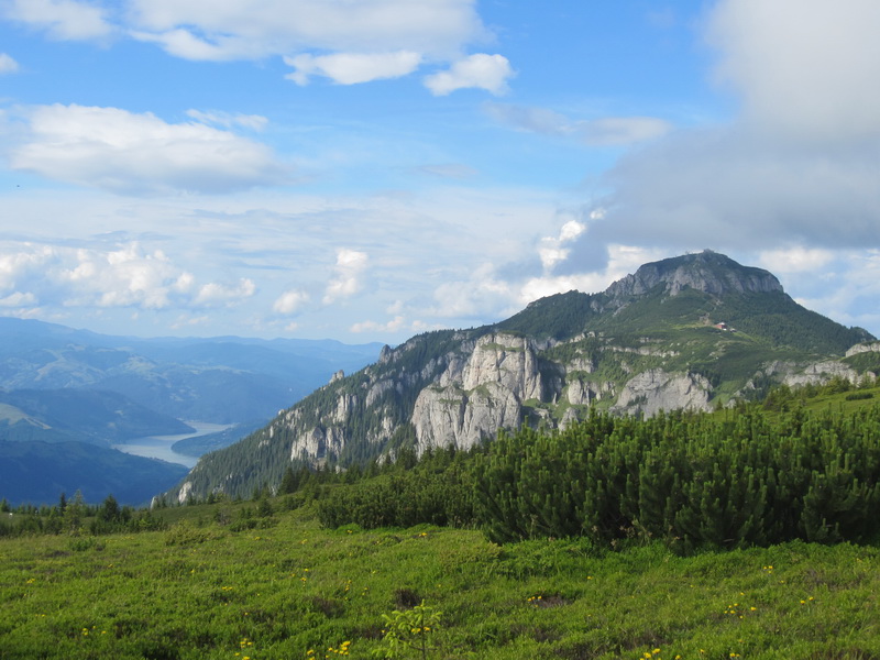 IMG_2879_resize