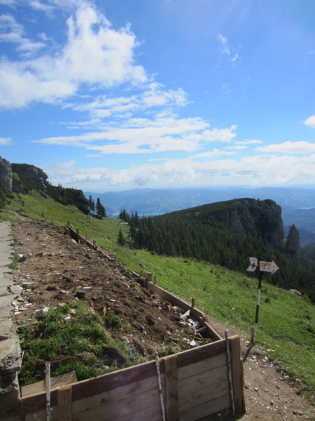 IMG_2888_resize