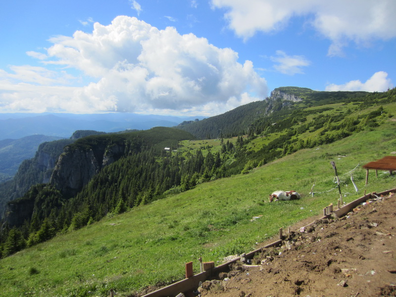 IMG_2894_resize