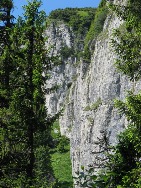 IMG_6336_resize