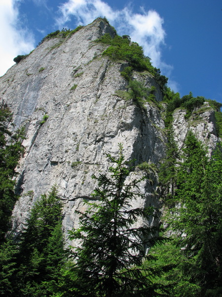 IMG_6339_resize