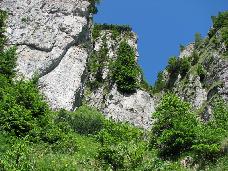 IMG_6341_resize