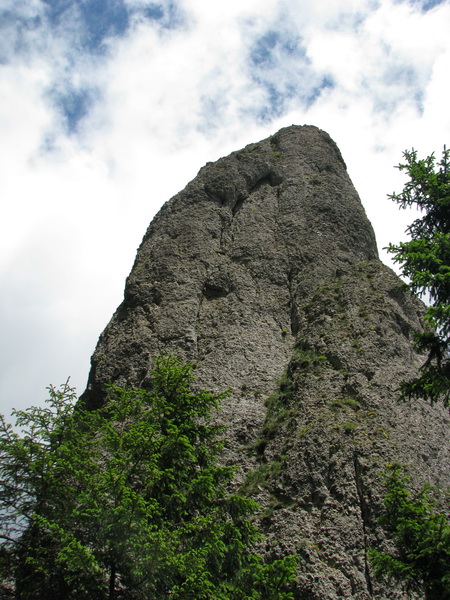 IMG_6409_resize