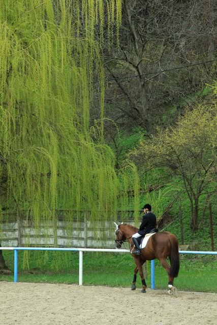 Sport pentru timpul liber – Călăria – fotografia 1