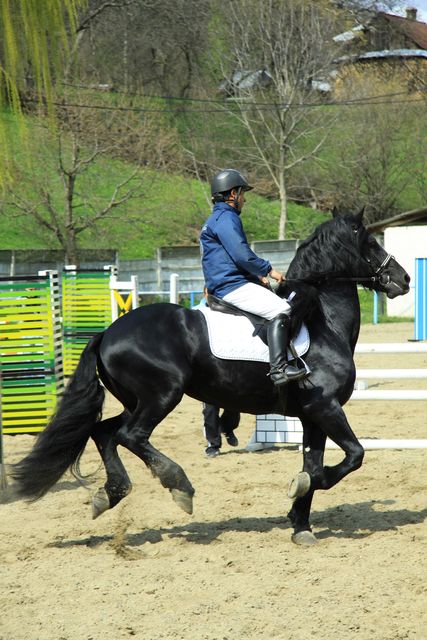 Sport pentru timpul liber – Călăria – fotografia 3