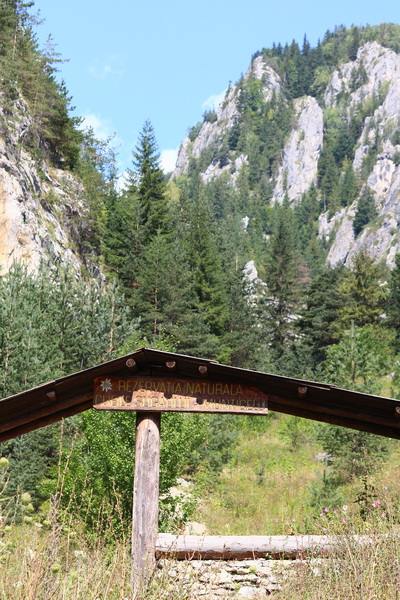 Trasee Turistice prin Neamț: Cheile Bicazului – Bicaz – Durău – fotografia 2