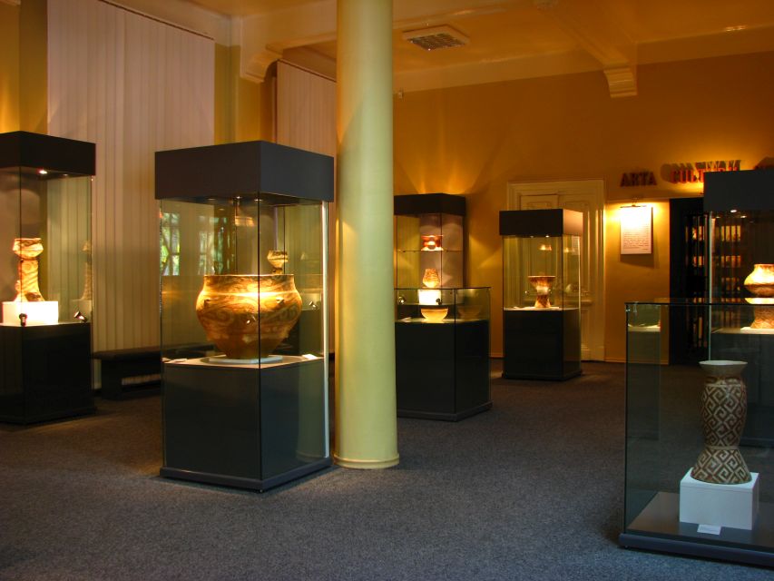 Cucuteni eneolithic art museum – Piatra Neamț – photo 3